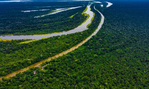 amazon forest river iquitos peru drone aerial panorama