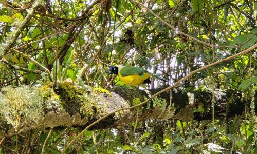 WhatsApp-kép, 2025-12-04, 22.48.08_5d26b95a